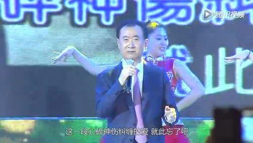 王健林单恋一枝花视频,一段跨越年龄的浪漫传奇