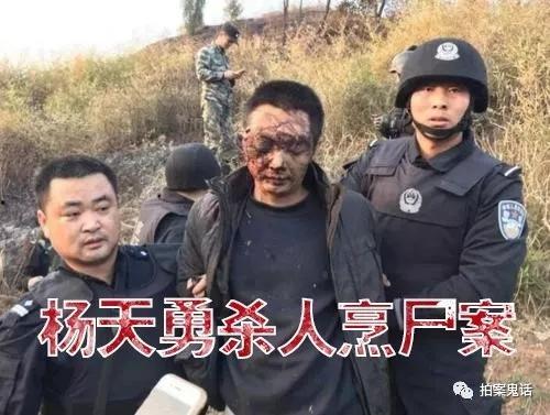 中国特大案件纪实视频,惊心动魄的侦破历程