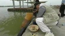 钓鲢鱼视频,视频教学带你轻松上钩