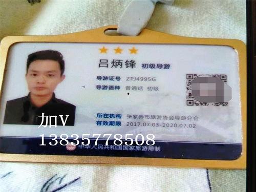导游证视频,揭秘导游职业魅力与技能提升