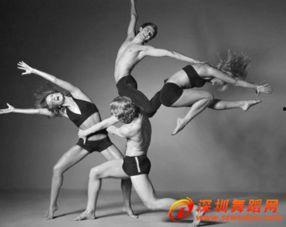 舞蹈视频大全现代舞,舞蹈视频大全中的现代舞风采掠影