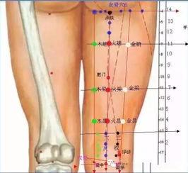 董氏针灸视频全集,揭秘传统针灸精髓与实用技巧